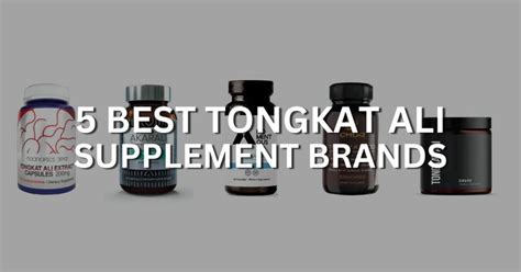 5 Best Tongkat Ali Supplement Brands (2024)